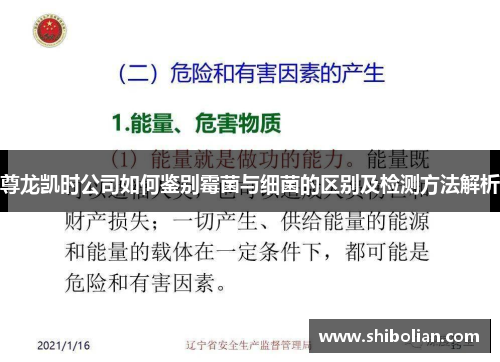 尊龙凯时公司如何鉴别霉菌与细菌的区别及检测方法解析 尊龙凯时公司如何鉴别霉菌与细菌的区别及检测方法解析