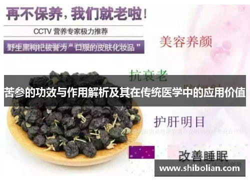 苦参的功效与作用解析及其在传统医学中的应用价值