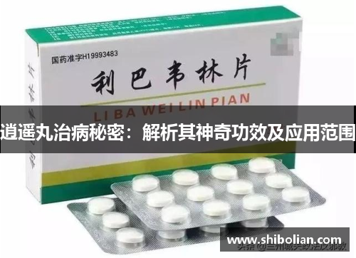 逍遥丸治病秘密:解析其神奇功效及应用范围 逍遥丸治病秘密:解析其神奇功效及应用范围